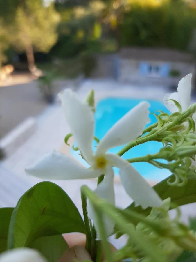 La Villa Jasmin Montauroux Kültér fotó